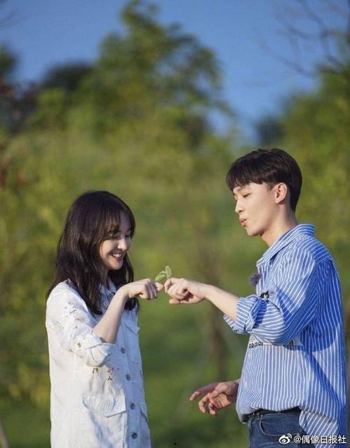 娱乐圈吃瓜好的地方,揭秘那些让人津津乐道的“瓜”