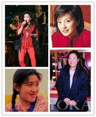 娱乐圈吃瓜大妈小说