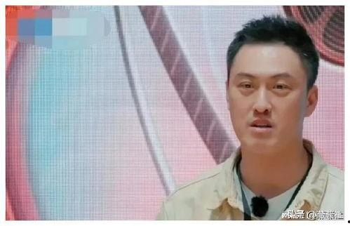 娱乐圈吃瓜爆料喜剧人,吃瓜爆料中的喜剧人生