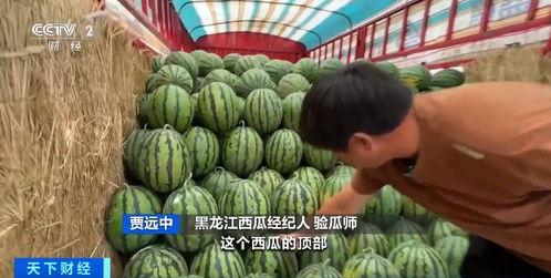 718吃瓜娱乐入口